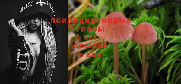 бошки Сафоново