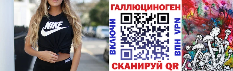 купить  сайты  блэк спрут   Галлюциногенные грибы Psilocybe  Отрадная 